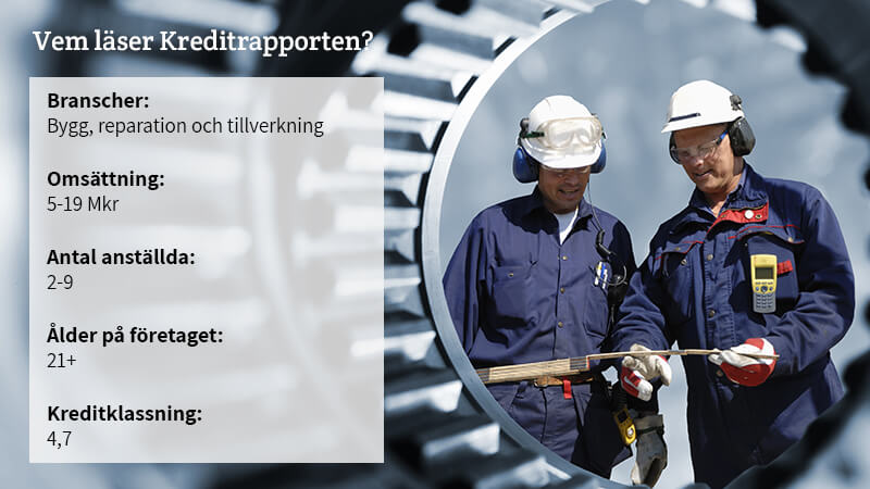 Kreditrapportens målgrupp